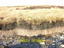 Photo 6x4 Topsoil and bedrock Black Moss - West Pennine Moors Ramsbottom  c2007