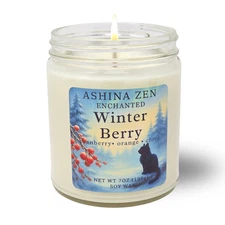 Enchanted Winter Berry Soy Candle  Cranberry Orange & Clove Scent Holiday Gift
