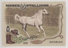 2019 Topps Allen & Ginter Mares and Stallions Arabian Horse #MS-1 y0q