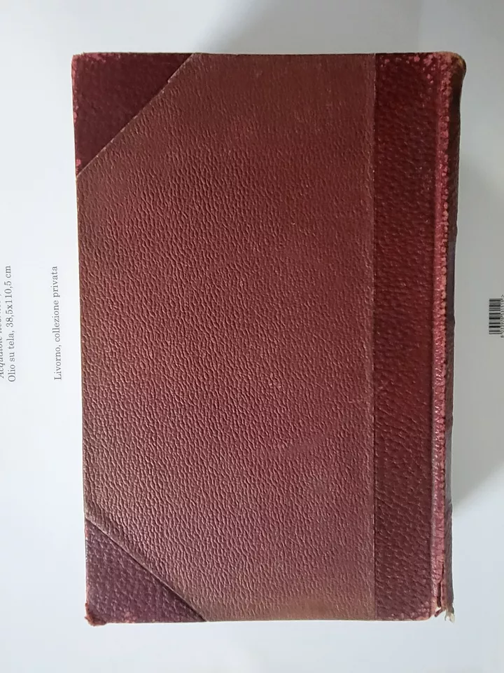 Mark Twain's Library of Humor Illustrated 1888 First Edition Charles L Webster - Image 4 of 4