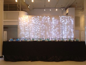 Ceiling Draping Sheer Chiffon Voile Drape Panel Backdrop Wedding