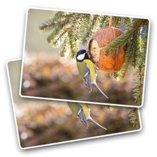 2x Vinyl Sticker Great Tit Small Garden Bird at Feeder #51072