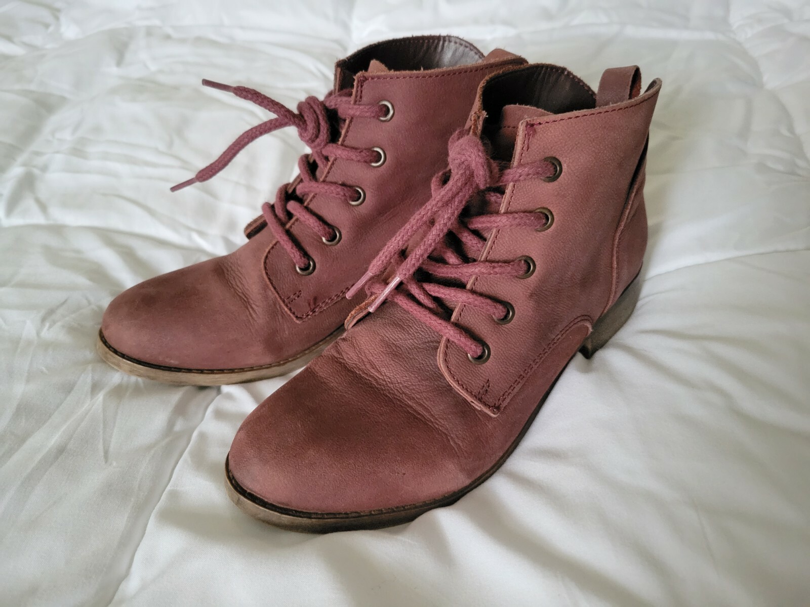 Steve Madden mauve purple suede lace up 