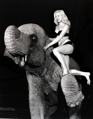 Diana Dors Sexy 8x12 giclee photo 