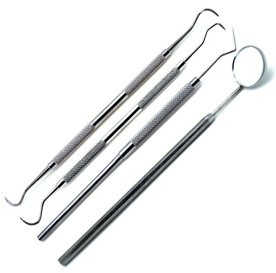 PREMIUM INSTRUMENTS Examination Set of 4 Dental Instruments