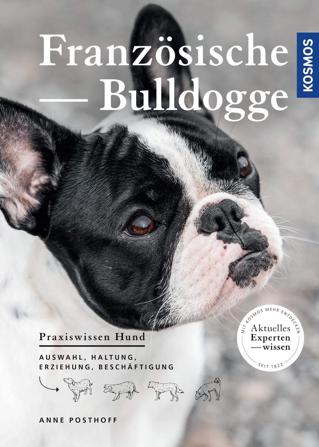 Thumbnail - Französische Bulldogge | Anne Posthoff | Taschenbuch | Praxiswissen