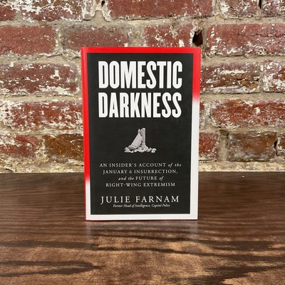 Domestic Darkness By Farnam Julie