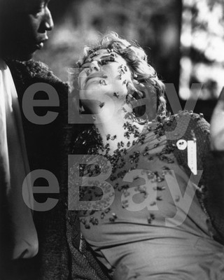 Candyman (1992) Tony Todd, Virginia Madsen 10x8 Foto