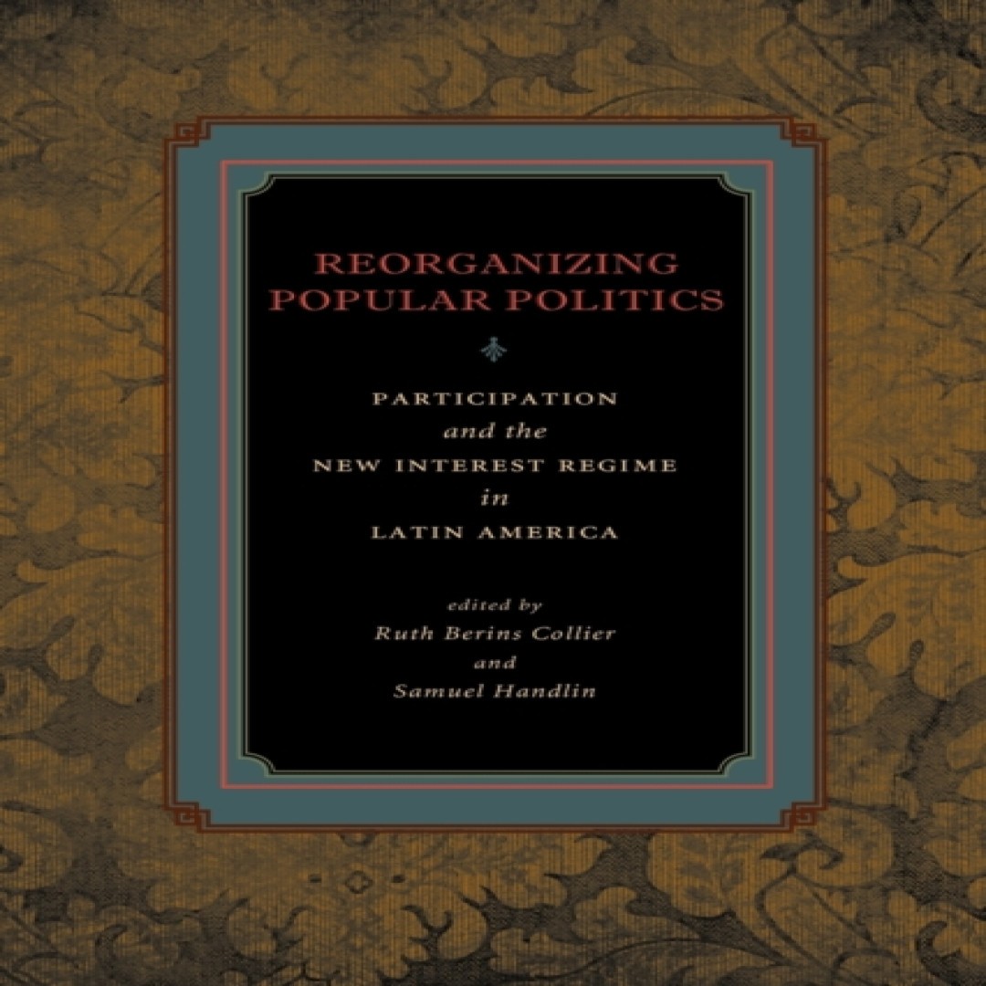 Reorganizing Popular Politics Participation and the New Interest