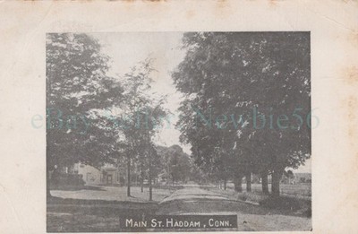 Haddam Conn CT - TREE LINED MAIN STREET - Postcard