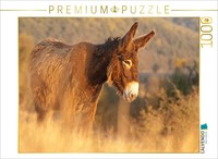 Calvendo Puzzle Poitou Esel Im Morgenlicht | 1000 Teile Lege-GrößE 64X48Cm Foto-