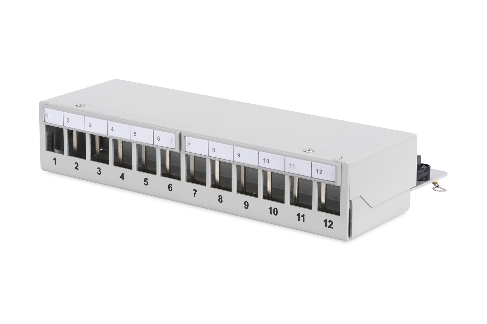 Patch Panel 12 Porte Da Tavolo Schermato Digitus