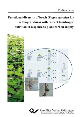 Rodica Pena | Functional diversity of beech (Fagus sylvatica L.)...