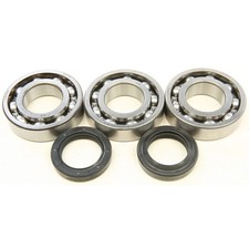 CRANKSHAFT BEARING/SEAL KIT Polaris Trail Boss 250 Trail Blazer 250 Xplorer 250