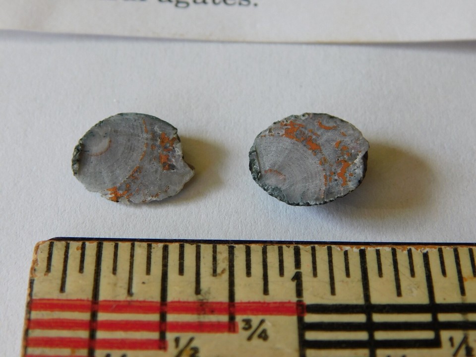 Rare Copper Replacement Agate Keweenaw Peninsula Michigan Copper