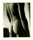 ORIG 1982 MALE PHYSIQUE BACK STUDY FINE ART MALE FORM VTG B&W PHOTO GAY INT 4X5 — photo 1