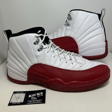 Evolution of the Nike Air Jordan Signature Shoe Sneaker Series: 1984-2023 56