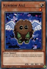 Yu-Gi-Oh: Winged Kuriboh | SGX1-FRA06 | Commune | NM | FR