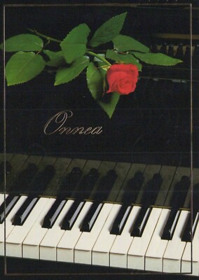 FLOWERS Vintage Ansichtskarte Postkarte CPSM #PAS244.D