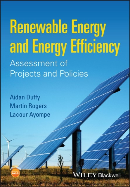 Renewable Energy and Energy Efficiency by Aidan  Duffy (Paperback Book)