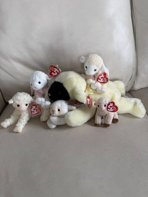 Lot of 6 TY Sheep (Buddy Chops Baby Fleece Fleecie Tender Lullaby Basket Ewey)
