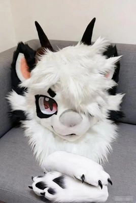 Fursuit Long haired Dog Fox Mascot Party Halloween Fur Cosplay(head+claws)