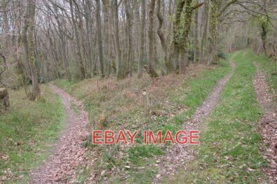 PHOTO  FOOTPATH THROUGH CLUNTON COPPICE CLUNTON COPPICE IS A SHROPSHIRE WILDLIFE
