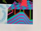 JUNGIL HONG Tiger 2016 Art Print #273/300 Poster PROVIDENCE Chippendale Thunder — photo 10