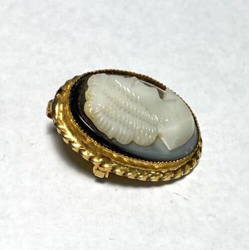 Vintage Cameo Pendant Brooch Carved MOP Abalone Gold Tone Frame   - Foto 1 di 7