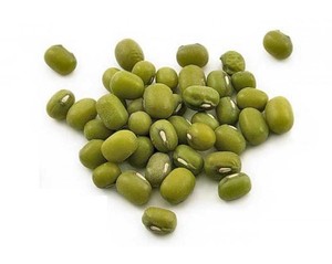 Hayllo Green Mung Bean Sprouting Seeds Grow Sprouts 50 Lb Bulk Ebay