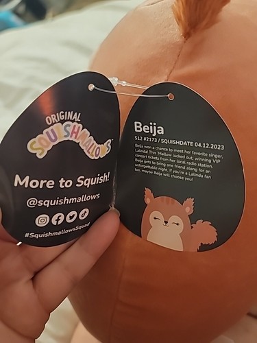 Squishmallows Select Series Bejia the Red Squirrel 12" NWT Fuzzy Ears & Tail - Picture 5 of 7