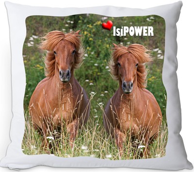 ISLÄNDER Islandpferd - Kissen KUSCHELKISSEN seidig weich 35x35 Dekokissen ISI 03
