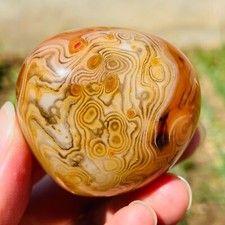 135g Small Yellow Black Carnelian Agate Line Pattern PalmStone Mineral Specimen