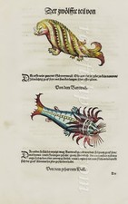 SEA MONSTERS  CONRAD GESNER WOODCUTS 1573 OVER 400 YEARS OLD HAND COL VGC.