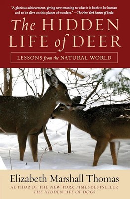 Elizabeth Marshall Thomas | Hidden Life of Deer, The | Taschenbuch | Englisch