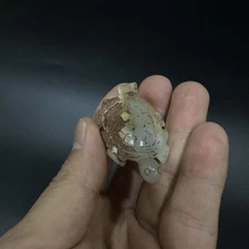 Antique Chinese Jade Turtle Carving, Qing Dynasty Longevity Symbol, 19th Century