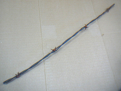 CURTIS HALF ROUND FOUR POINT RED BARBS on ONE of TWO LINES - ANTIQUE BARBED WIRE