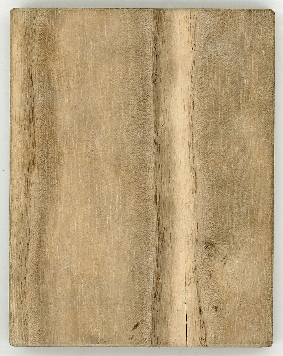 Foto 2 di 2