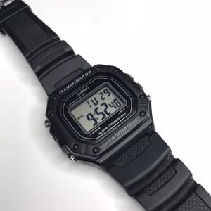 citizen eco drive watch band pins