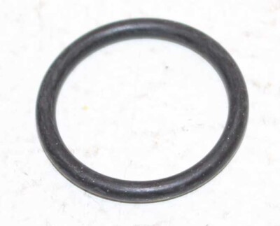 Hydrotherm O-Ring 21,89 x2,62, Herst-Nr. 153665