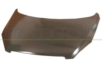 Motorhaube für Peugeot - 307 - Mod. 08/01 - 08/05