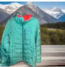 The North Face Steep Series 700 Women  s Small Goose Down Puffer Winter Coat