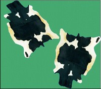 Superior Large Cowhide Rug Cow Hair Skin Area Leather Rugs 5152 Inches Superior Large Cowhide Rug Cow Hair Skin Area Leather Rugs 5152 Inches