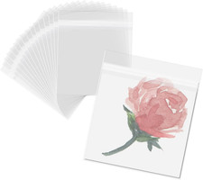 100 Pack 6x6 Inch Resealable Clear Plastic Sleeves for Photos, Prints