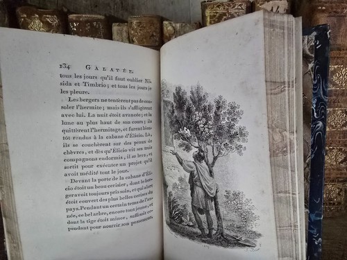 1788 GALATEE, PASTORAL IMITATED FROM CERVANTES BY FLORIAN - Illustrated Edition - Picture 12 of 14