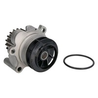 INA Wasserpumpe FüR VW Golf 4 5 Passat Polo Tiguan Touran Audi A3 A4 A6 2.0 TDI