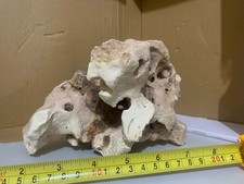 PIETRE ACQUARIO CALCAREE TEXAS PER MARINO O CICLIDI O RETTILI