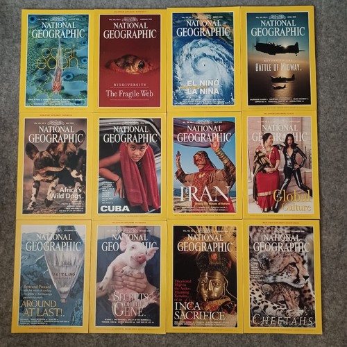 LOT of 60 National Geographic Magazines 1995 - 2000 6 Full Year Sets Vintage - Picture 14 of 16