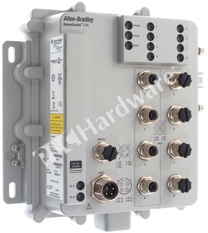  millennium plate `MARCASITE´ Permineralized Fossilized Wood W/ Rainbow Marcasite: SMC Small