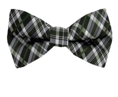 Boy's 100% Green Silver Silk Designer Pre-Tied Woven Bowtie- NWT